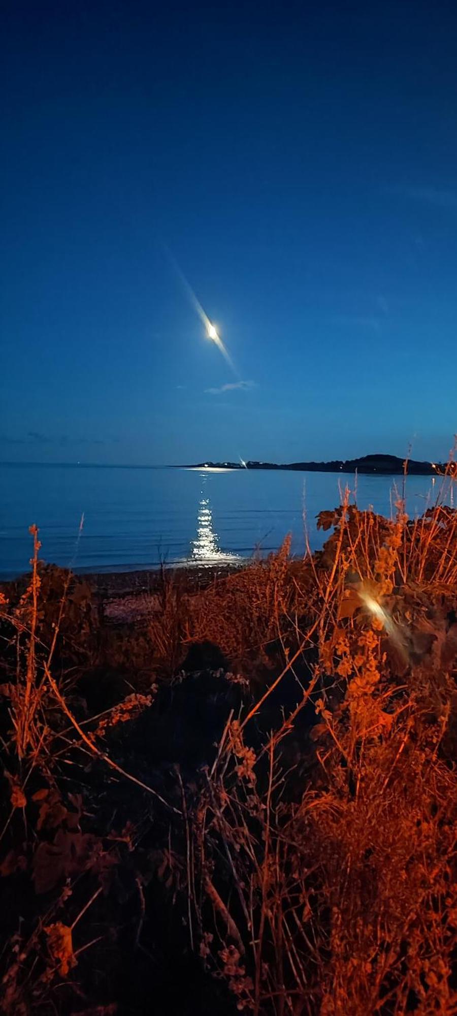 Horse Island View Luxury Retreat Apartment Kircubbin Exterior photo